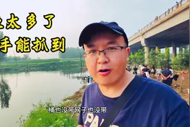 保定雨季龙门水库开闸放水，这条河太多鱼徒手能抓到，风景也很美视频封面