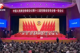 安徽省政协十三届一次会议胜利闭幕视频封面