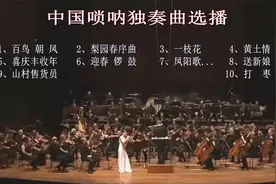 唢呐独奏经典名曲10首连播，音色嘹亮，欢快爽朗，深受大众喜爱