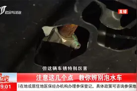 购买二手车的注意了！教你辨别泡水车，记住这几点买车不吃亏视频封面