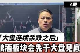 A股连续杀跌之后，酿酒有望先于大盘见底？成为未来的领涨板块？视频封面