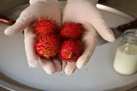 红毛丹冰淇淋卷，怎样用红毛丹制作美味的冰淇淋卷