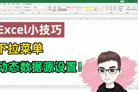 Excel技巧：制作下拉菜单，动态数据源设置视频封面