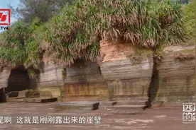 崖壁平整好似堤坝，涠洲岛的海蚀崖是如何形成的？视频封面