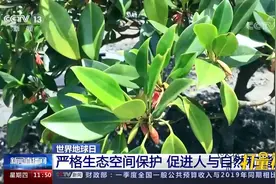 世界地球日：严格生态空间保护，促进人与自然和谐共生视频封面
