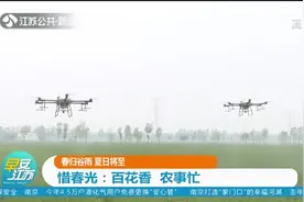 春归谷雨农事忙！又到农作物生长季，乡村呈现一幅繁忙春耕图！视频封面