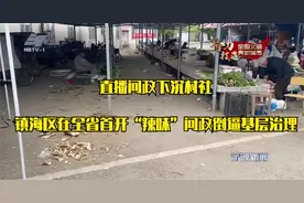 直播问政下沉村社 镇海区在全省首开“辣味”问政倒逼基层治理视频封面