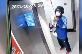 狗子遇到贵人啦！狗绳被卡电梯小狗悬吊半空，路人及时解救视频封面