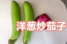 炒茄子加上洋葱，不到10块钱的成本，既营养又好吃！