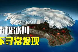 南极冰川发现“不明”物种，全球首例黄金企鹅，放手上被烫死的鱼视频封面