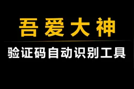 【吾爱出品】网站验证码自动识别工具视频封面