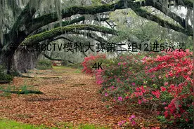 第六届CCTV模特大赛第二组12进5泳装4K【转载】视频封面