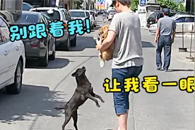 流浪狗天天跟踪陌生女子怎么赶也不走，得知原因后网友直呼感动！
