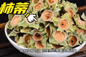 中药柿蒂的作用与功效视频封面