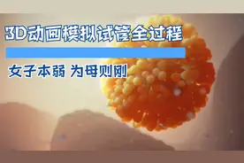 3D动画 模拟双胞胎的孕育全过程 女性本弱 为母则刚视频封面