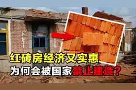 红砖房经济又实惠，为何会被国家禁止建造？看到它的危害就明白了视频封面
