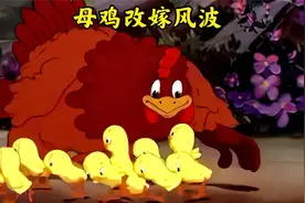 母鸡结婚三天就一口气生了十个孩子，被丈夫赶出家门只能选择改嫁