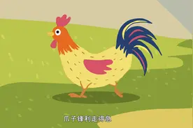 学唱儿歌_公鸡视频封面