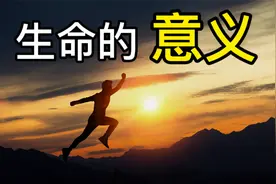 活着就是为了“钱”吗！生命的意义你真的懂吗？