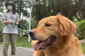 文明养宠 犬只专项整治清查行动进行时视频封面