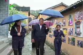 市委常委、市政府党组副书记蔡松涛来新县调研指导工作视频封面