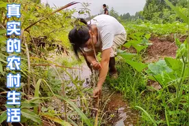 姑娘用镜头记录真实的农村生活，下地干活，这样的生活你喜欢吗视频封面