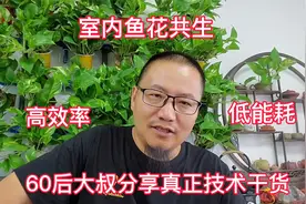 1立方水体，4个月，50斤鱼，36块钱，60后大叔分享室内鱼花共生视频封面