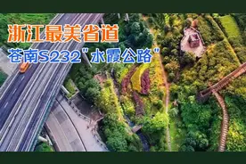 自驾浙江南大门，苍南S232水霞公路，云海、风车、梯田一次玩遍！视频封面