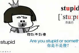 “你是不是傻？”英语怎么说视频封面