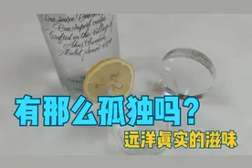 有那么孤独吗？远洋真实的滋味 ~ 船员真实生活实录视频封面