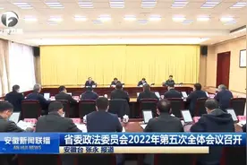 安徽省委政法委员会2022年第五次全体会议召开视频封面