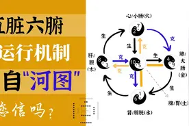 人体内五脏六腑的运行机制，来自河图的黑白点结构，您信吗？视频封面