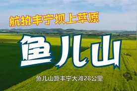 鱼儿山，草连天！丰宁坝上草原自驾旅游风光航拍视频封面