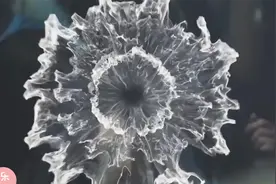 酒吧蹦迪现场，全场嗨爆，嗨曲节奏感超燃，节奏魔性越听越上头！视频封面