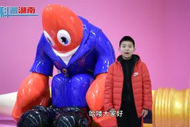 你了解小龙虾吗？︱小小科普员视频封面