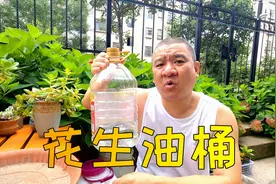 花生油能不能制作成肥料？家庭吃完的空油桶清洗干净的妙招视频封面