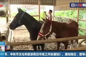 福建三勇士骑马下海救人后续 两匹伊犁马抵达新家 接班“英雄马”视频封面