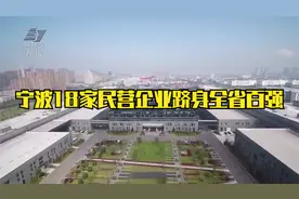 宁波18家民营企业跻身全省百强视频封面