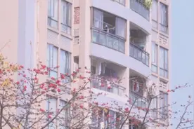 南财视频 | 住建部：保障性租赁住房不设收入线门槛视频封面