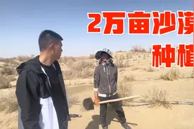 湖南大哥带领家族承包2万亩沙漠种植，投资百万起步，三年见收益视频封面