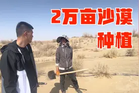 湖南大哥带领家族承包2万亩沙漠种植，投资百万起步，三年见收益视频封面