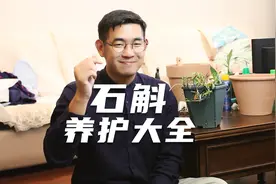 园艺师教你石斛怎么养，这可能是关于石斛，最全面的教程了视频封面