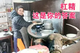 尼泊尔人不吃牛肉?我来的是假的加德满都，不进能吃还便宜视频封面