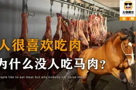 牛肉和马肉都是肉，为什么国人几乎不吃马肉，是因为有毒还是难吃视频封面