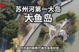 上海百元一日游？不！这是你没玩过的全新版本 苏州河49元微游!视频封面