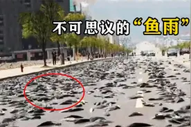 不可思议的“动物雨”，上万条鱼从天而降，这是什么原理？视频封面
