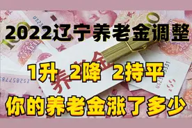 辽宁2022年养老金调整方案公布,1升2降2持平,7月31日前补发完毕视频封面