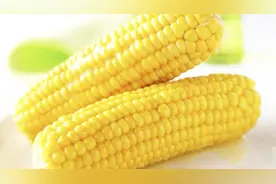 教你们三个小妙招，让你们轻松挑到好吃的嫩玉米