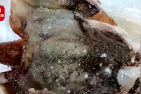 徐州大润发回应烤鸡发霉：没有接到其他投诉，不清楚为何这只发霉视频封面