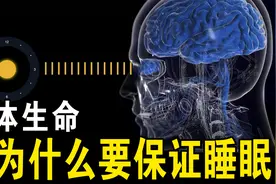当我们睡觉时，身体会发生什么变化？一旦睡眠不足又会怎样呢？